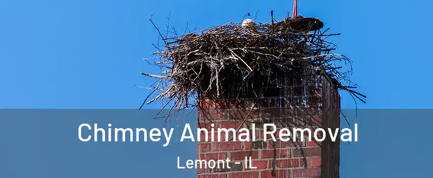 Chimney Animal Removal Lemont - IL