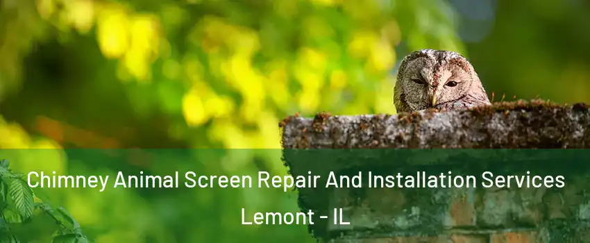 Chimney Animal Screen Repair And Installation Services Lemont - IL