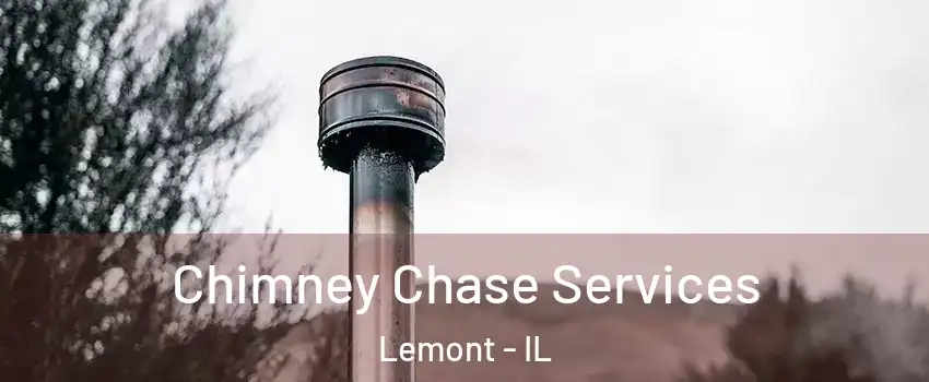 Chimney Chase Services Lemont - IL