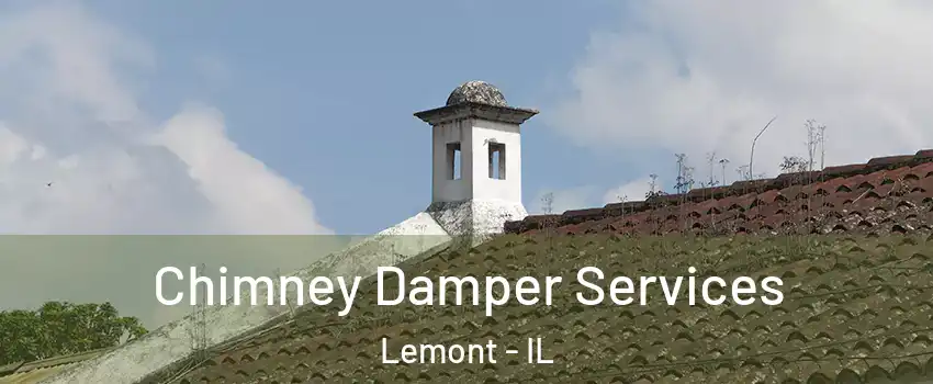Chimney Damper Services Lemont - IL