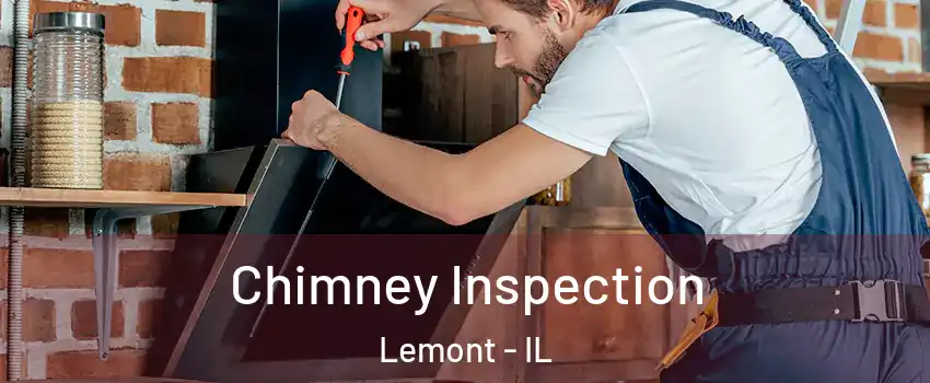Chimney Inspection Lemont - IL