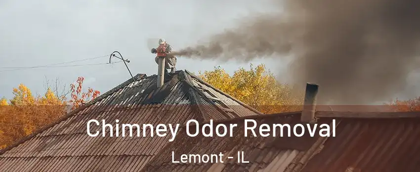 Chimney Odor Removal Lemont - IL
