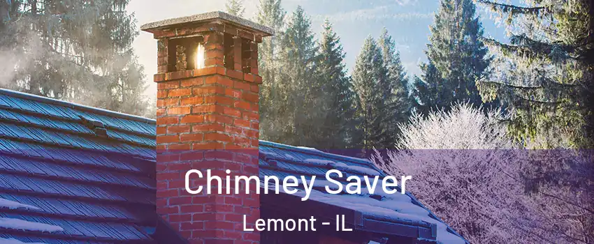 Chimney Saver Lemont - IL