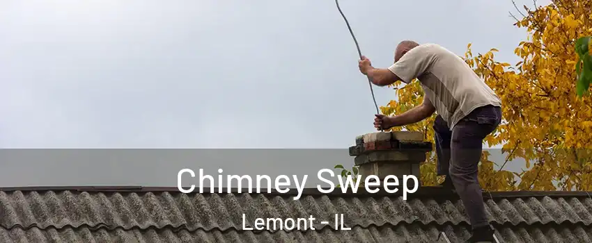 Chimney Sweep Lemont - IL