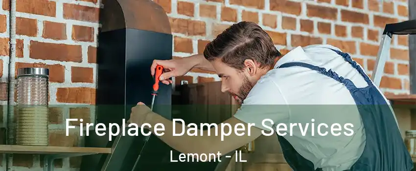 Fireplace Damper Services Lemont - IL