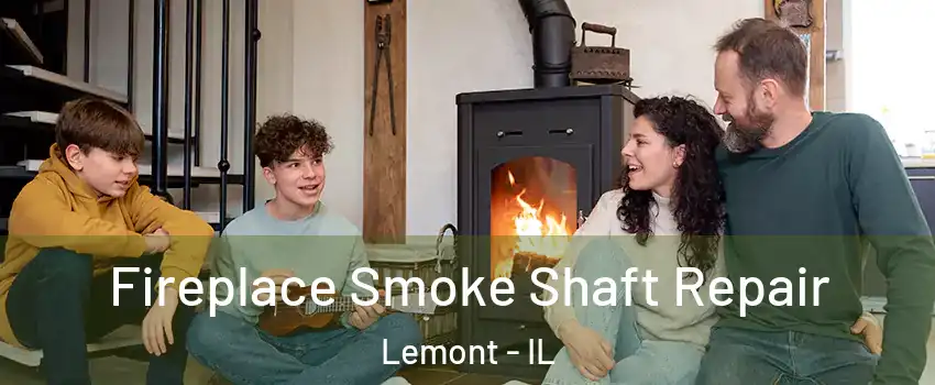 Fireplace Smoke Shaft Repair Lemont - IL