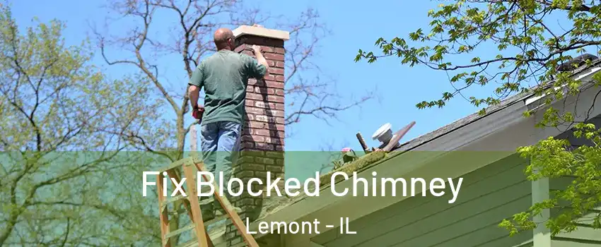  Fix Blocked Chimney Lemont - IL