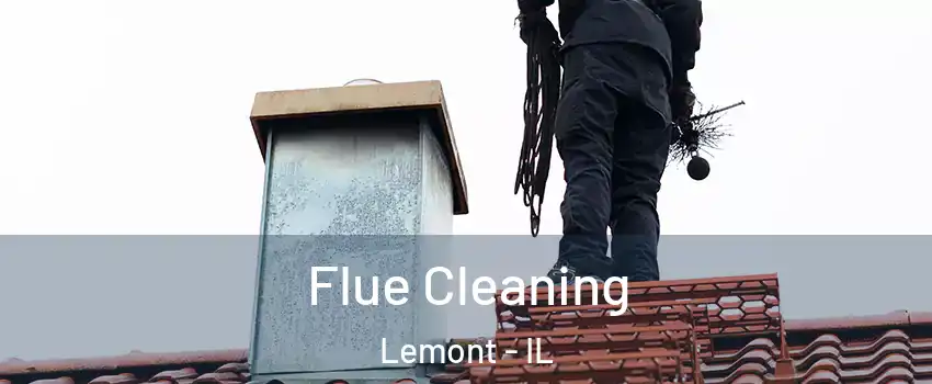 Flue Cleaning Lemont - IL