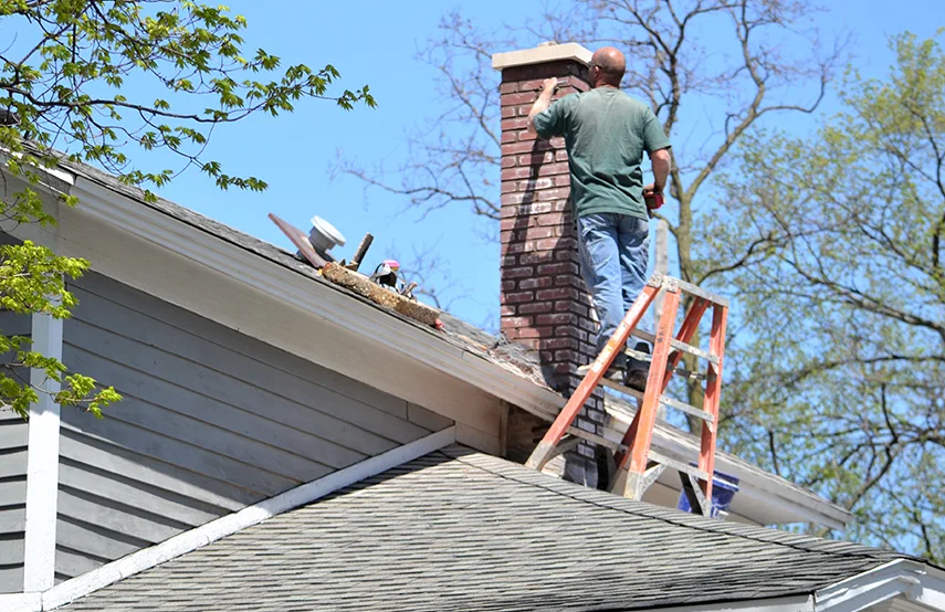 Chimney & Fireplace Inspections Services in Lemont, IL