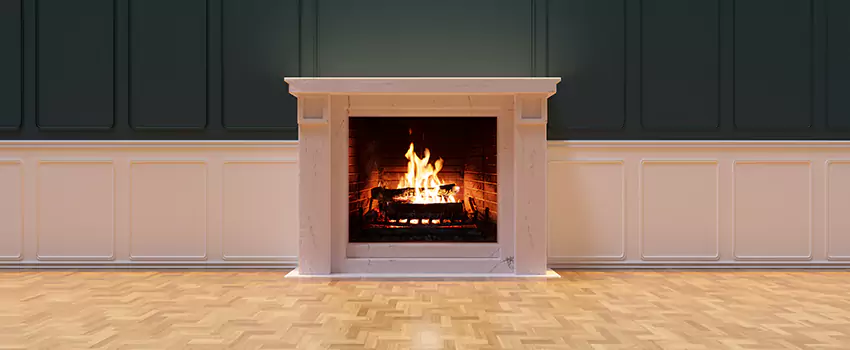 Napoleon Electric Fireplaces Inspection Service in Lemont, Illinois