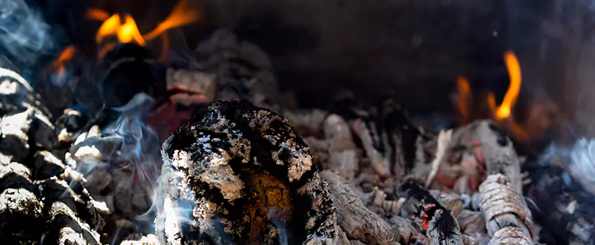 Creosote Removal Experts in Lemont, IL