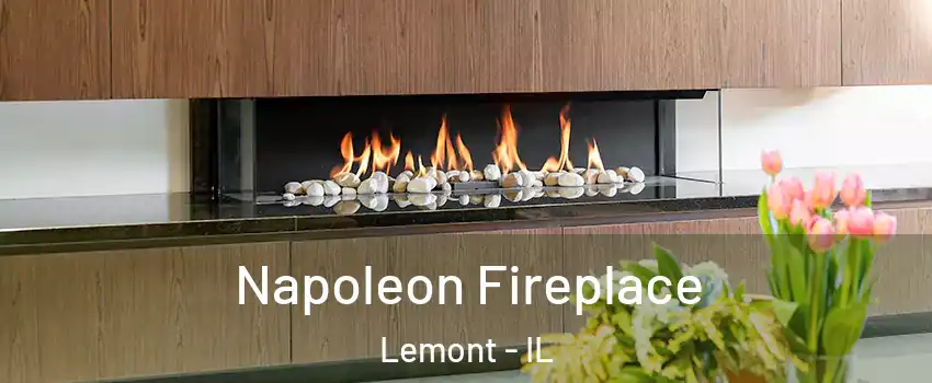 Napoleon Fireplace Lemont - IL